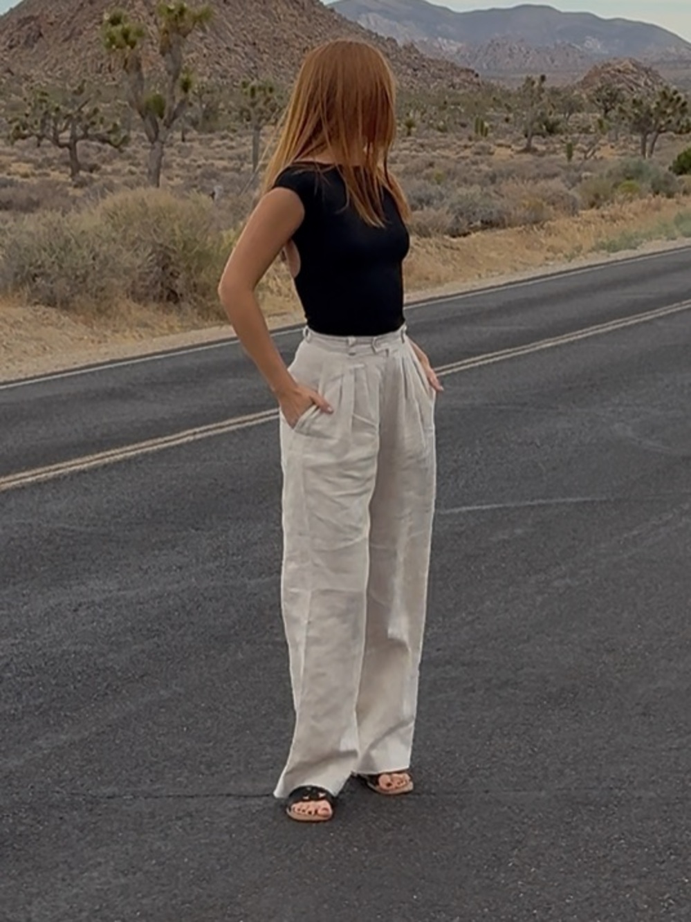 Posse Beige Wide Leg Trousers Linen Pants Size XS